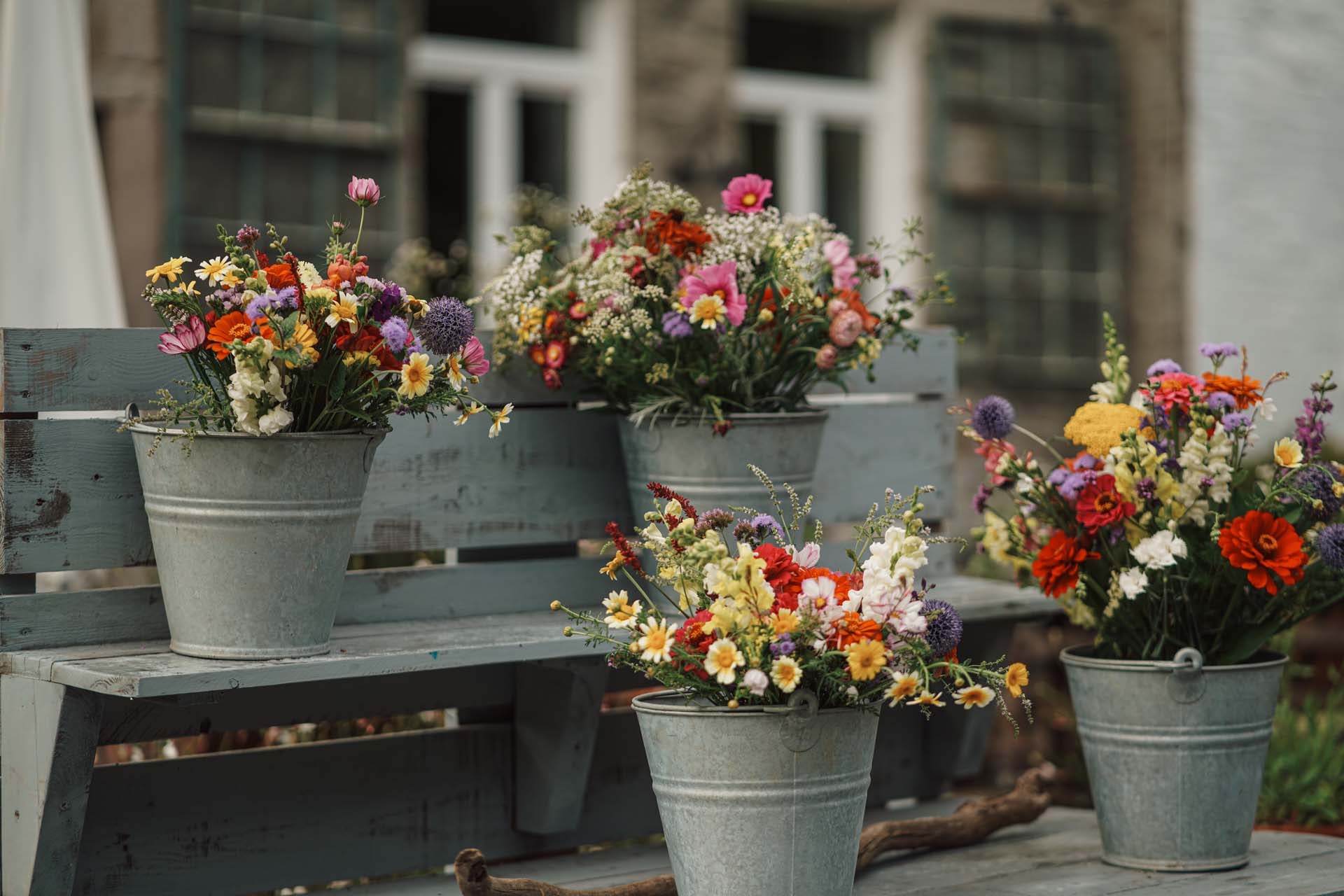 Frisch gestaltete bunte Blumensträuße in Zinkeimern